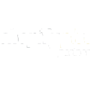 shopify-logo